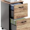 VASAGLE 2-Drawer File Cabinet, Space-Saving Office Storage-0