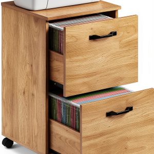VASAGLE 2-Drawer File Cabinet, Rolling Filing Cabinet with-0