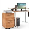 VASAGLE 2-Drawer File Cabinet, Rolling Filing Cabinet with-1