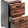 VASAGLE 2-Drawer File Cabinet Classic Design-0