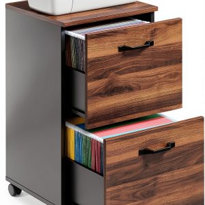 VASAGLE 2-Drawer File Cabinet Classic Design-0