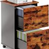 VASAGLE 2-Drawer File Cabinet Classic Design-0