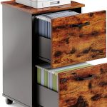 VASAGLE 2-Drawer File Cabinet Classic Design-0