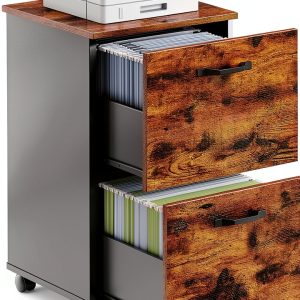 VASAGLE 2-Drawer File Cabinet Classic Design-0