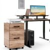 VASAGLE 2-Drawer File Cabinet, Space-Saving Office Storage-1