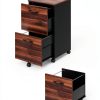 VASAGLE 2-Drawer File Cabinet Classic Design-1